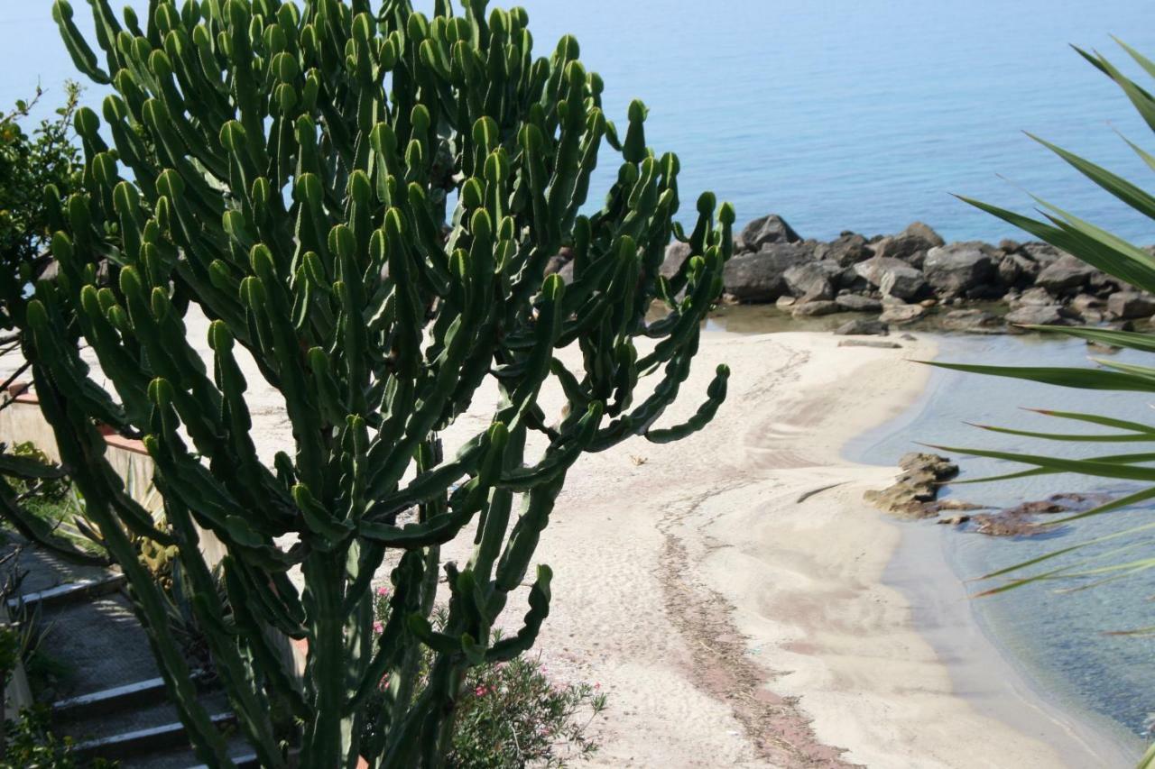 Villa Laura - Sul Mare Pizzo  Dış mekan fotoğraf